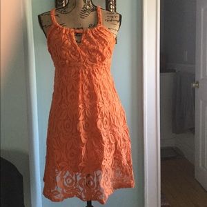 International concepts (INC) dresss